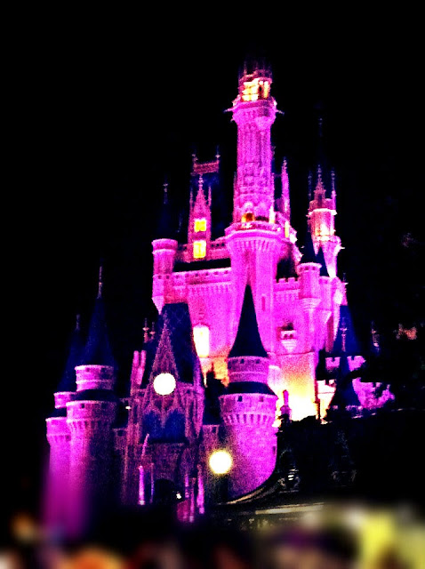 Vacation Days: Disney World